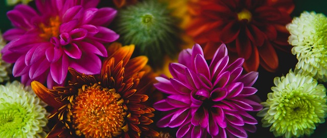 如果他能进 如果他能进