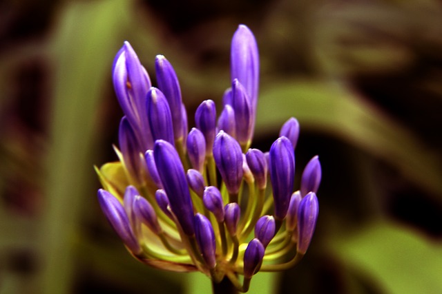 对曼联做出 对曼联做出