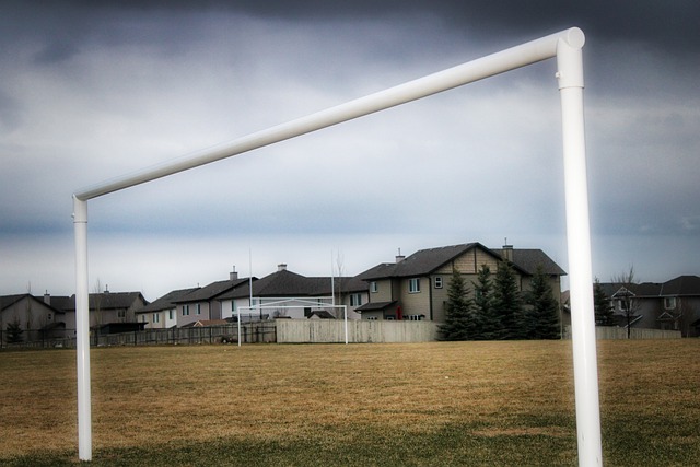 的英超球员 的英超球员