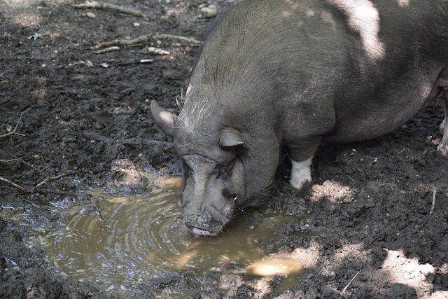 得深思的问 得深思的问
