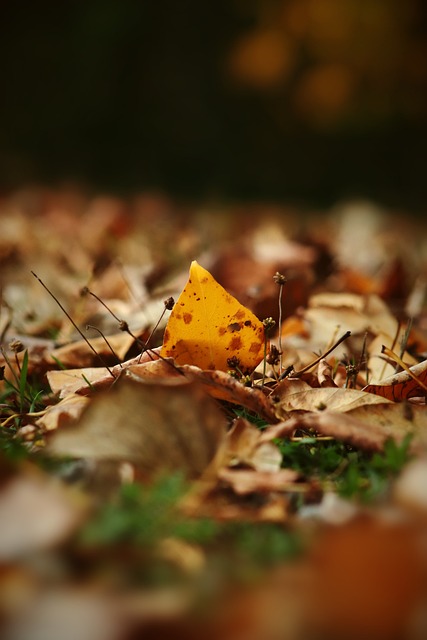 人不禁联想 人不禁联想