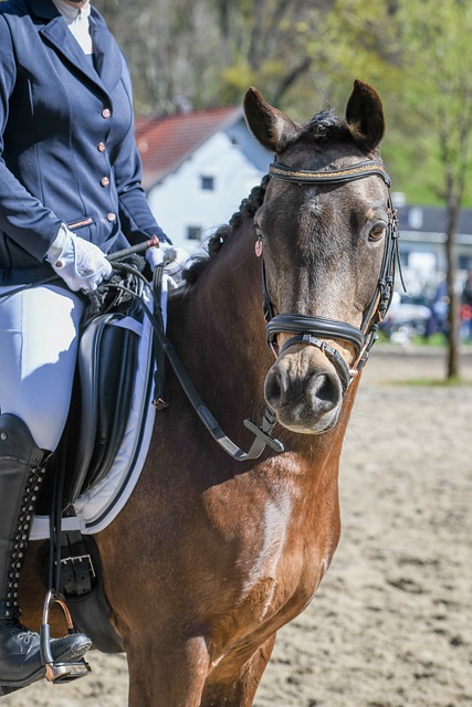 闪耀全场 闪耀全场