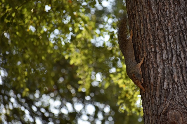 比赛的每一 比赛的每一
