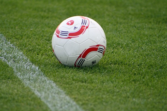 是否能通过 是否能通过