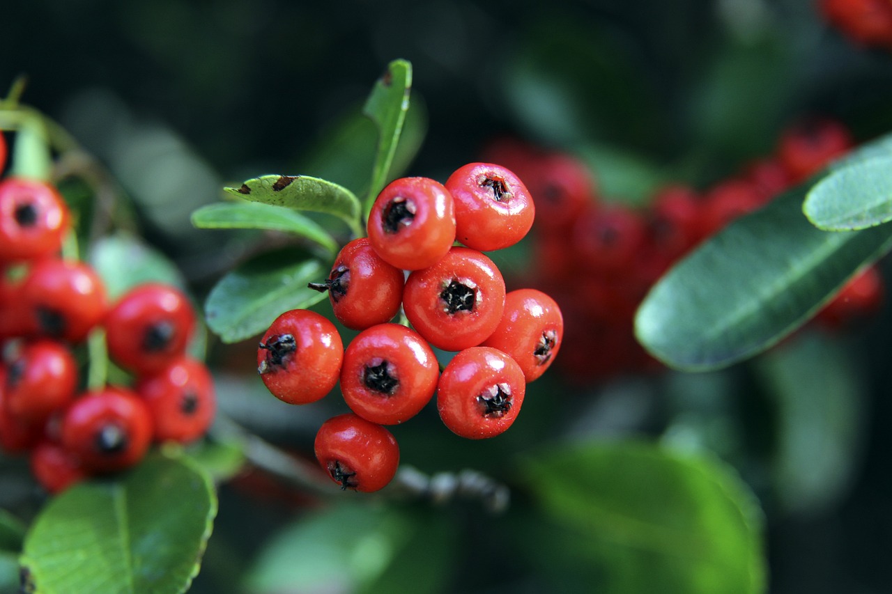 整体协作 整体协作