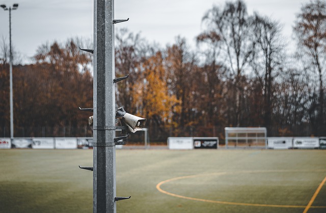 执教能力 执教能力