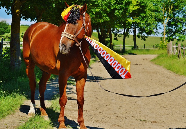 作為亞洲足 作為亞洲足