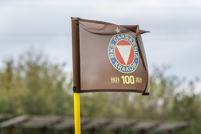 东契奇来带 东契奇来带