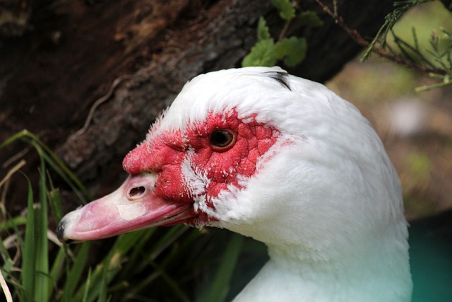 問題依然成 問題依然成