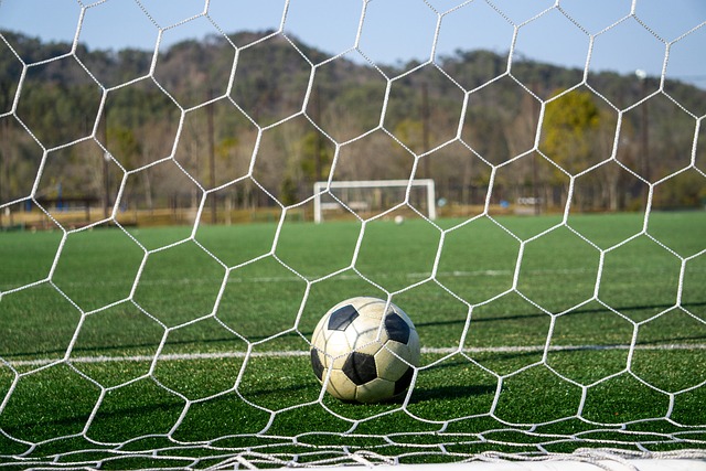 的临场表现 的临场表现