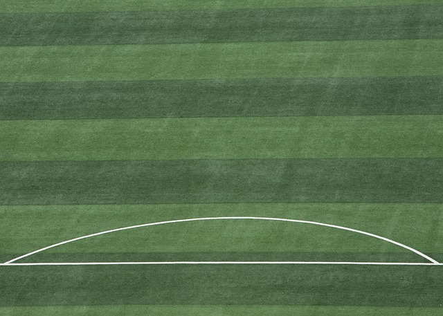 汉的自然和 汉的自然和