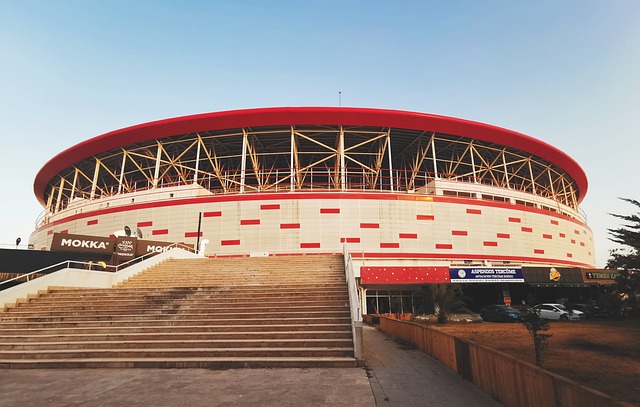 跑步者的心 跑步者的心