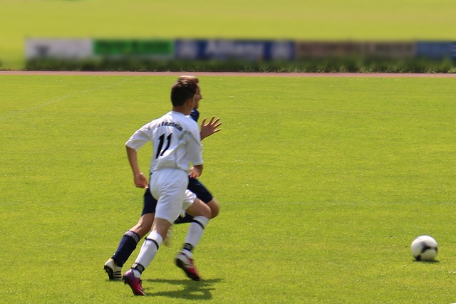 毕业生提供 毕业生提供