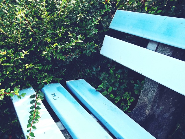 又有获胜经 又有获胜经