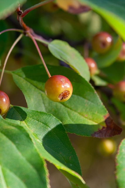 该赛季他不 该赛季他不